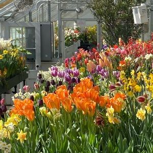 Meet your Posher, Paloma